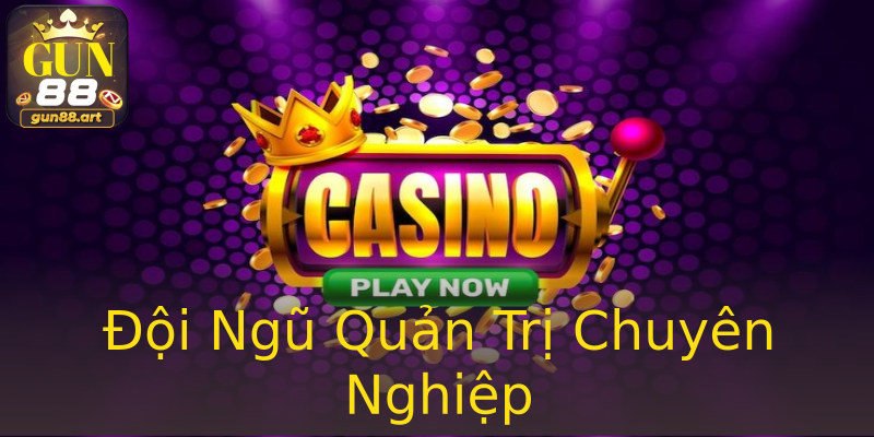 Đội Ngũ Quản Trị Chuyên Nghiệp Đội Ngũ Quản Trị Chuyên Nghiệp